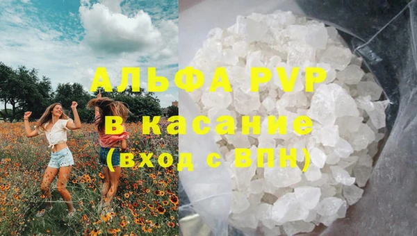 PSILOCYBIN Козельск