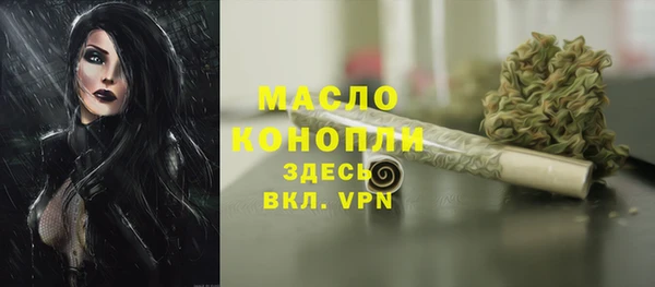 гидра Саяногорск