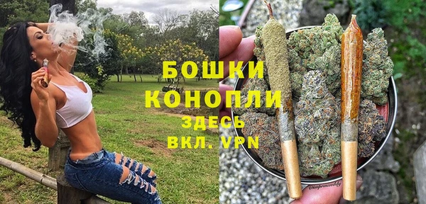 МДМА Козловка