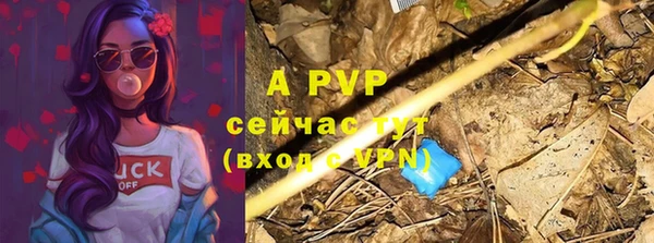 PSILOCYBIN Козельск