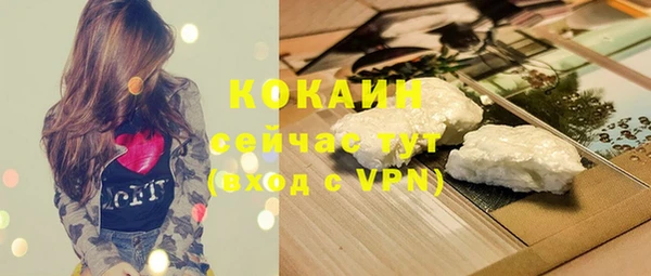 PSILOCYBIN Козельск